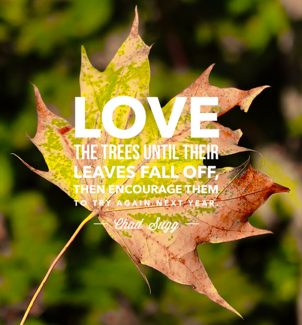 welcome fall quotes