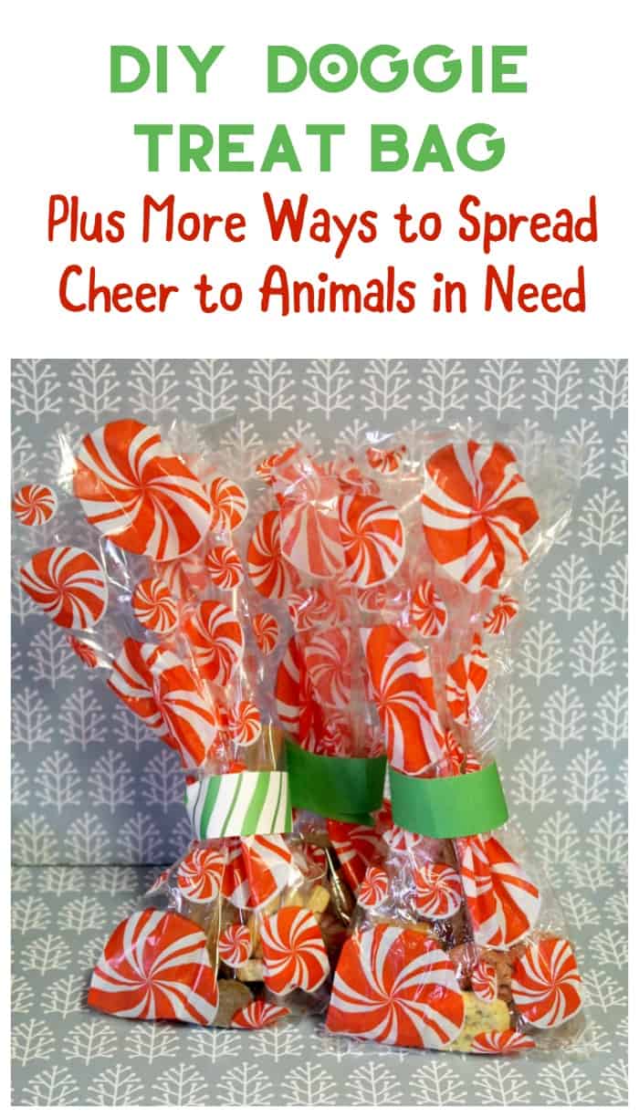 Be a Joy Maker & Spread Cheer to Animals in Need During the Holidays