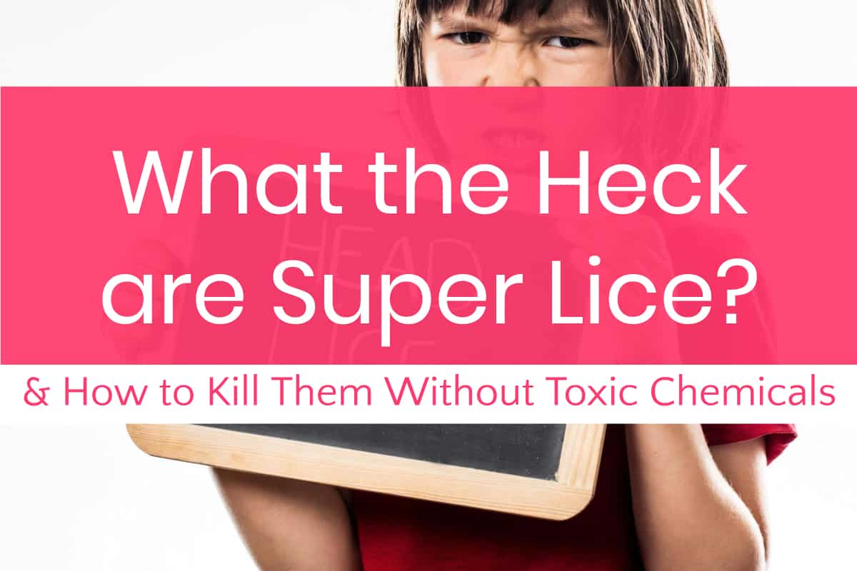 What On Earth Are Super Lice Plus How To Get Rid Of Them Without
