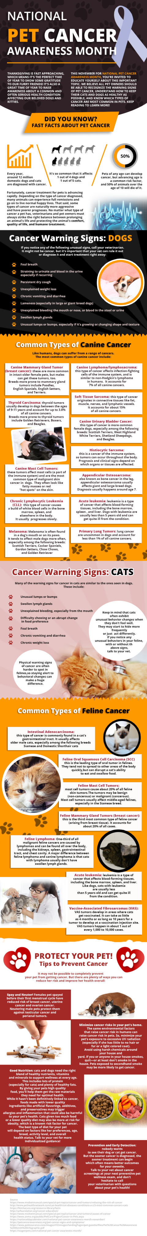 Pet Owners Honor National Pet Cancer Awareness Month Every November