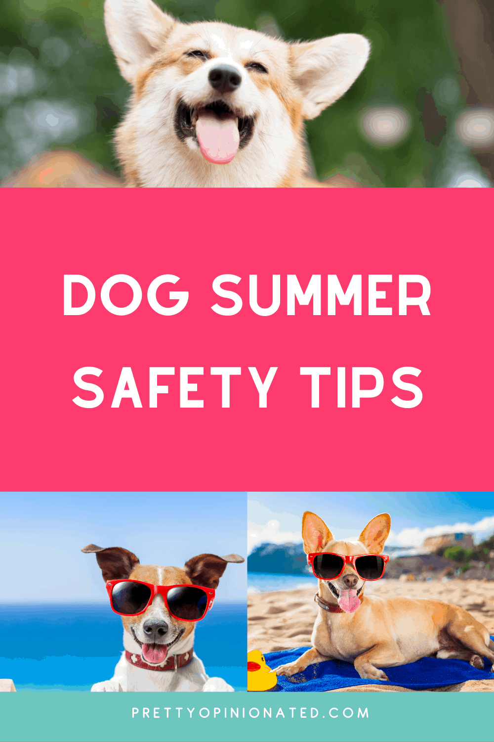 Here are a few key tips to help you keep your dog safe this summer.