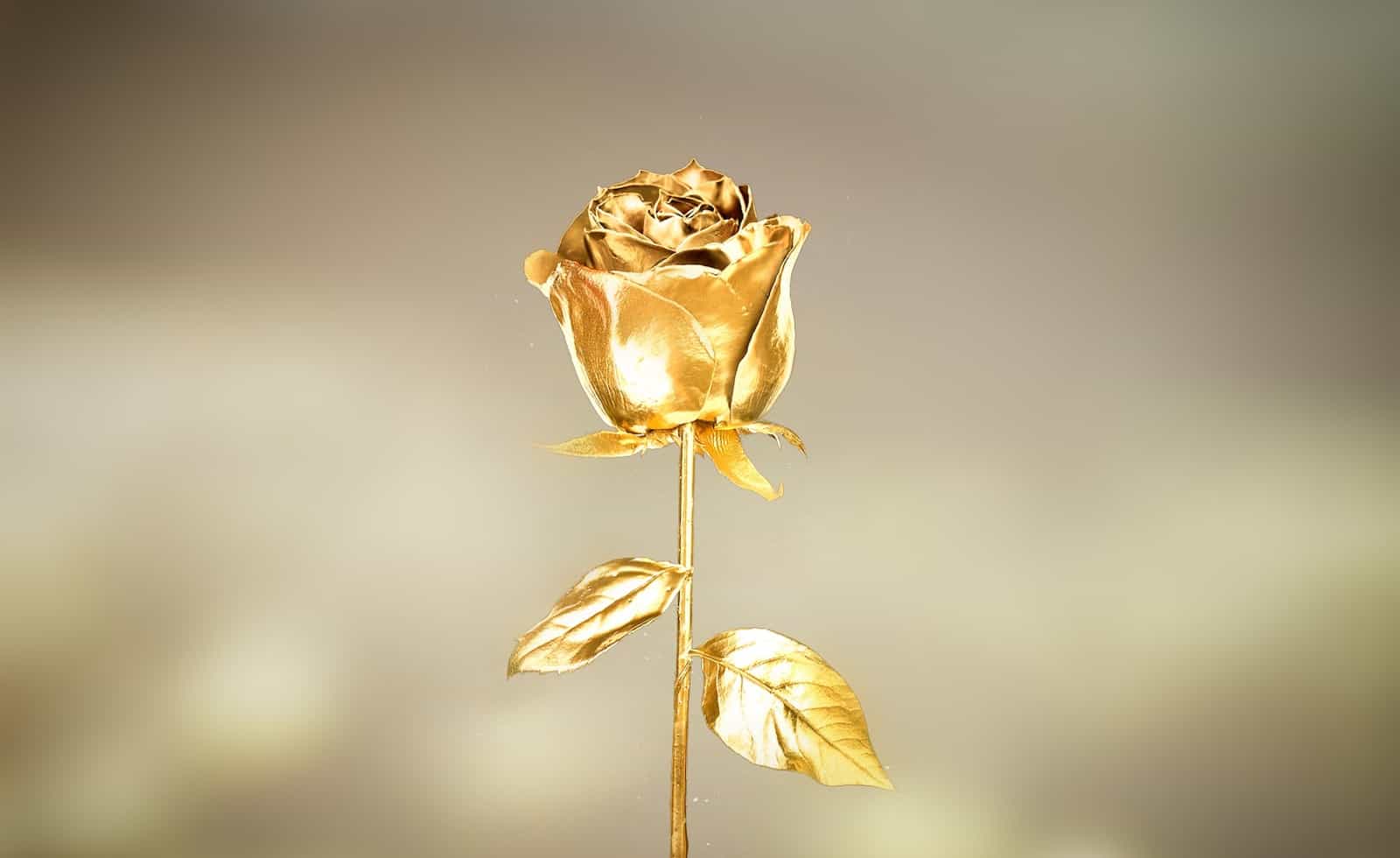 https://www.prettyopinionated.com/wp-content/uploads/2021/04/preserved-gold-rose.jpg