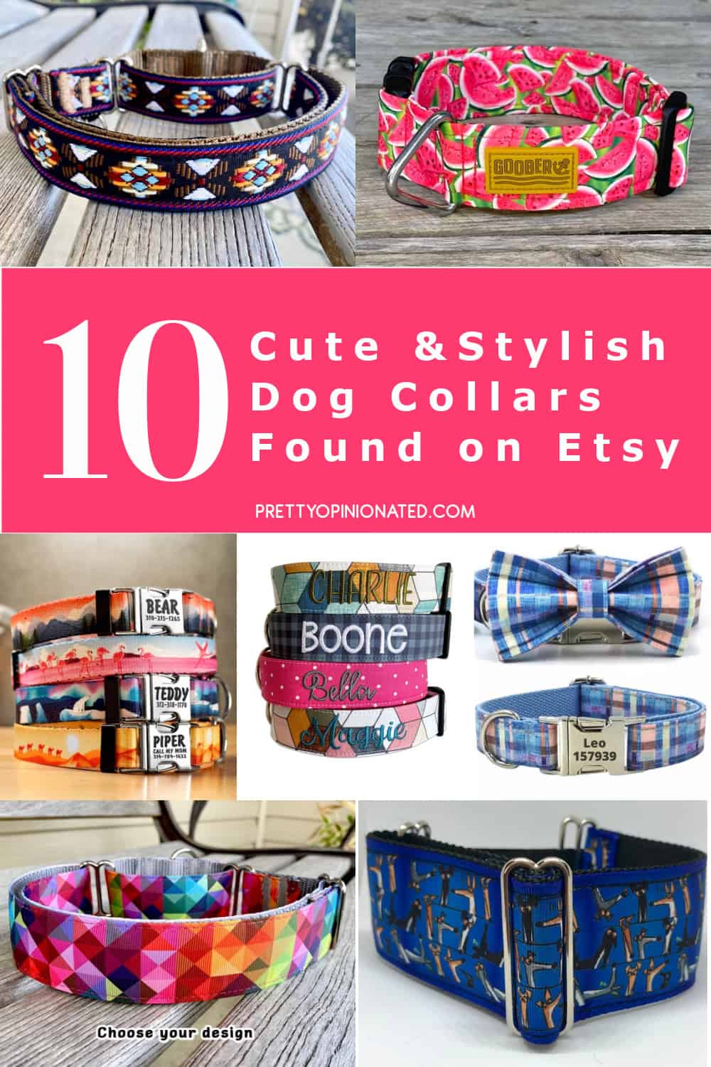 10 Cute Dog Collars On  For Super-Stylish Pups (2021)