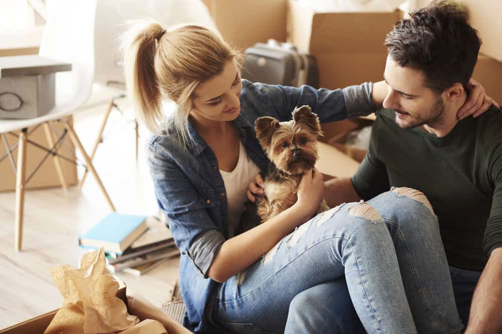 What You Need to Know As a New Pet Owner